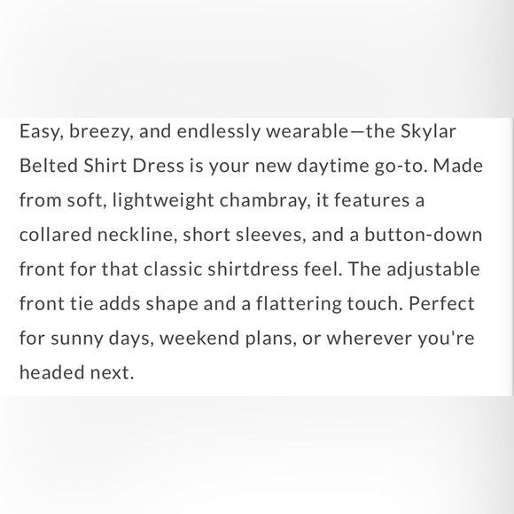 Blu Pepper Chambray Belted Shirt Dress - Picture 4 of 5